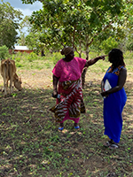 Two people standing outside near a cow