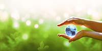 Hands holding a small blue globe